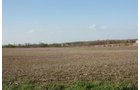 Property photo 22 - 641 Acres Offered in 16 Tracts - 545 Cropland Acres